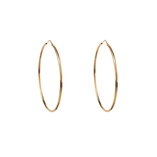 Gold Hoop Earrings